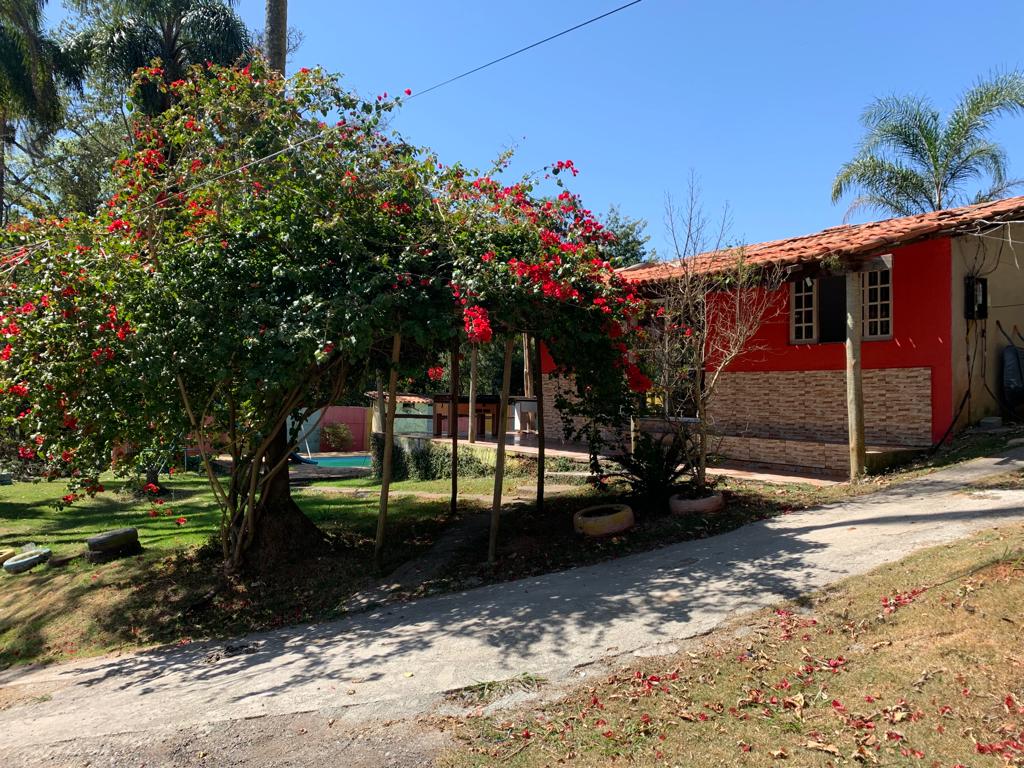 Entrada 1